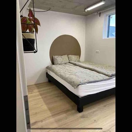 Modern Garage Suite - Free Parking & Self Check In Hveragerdi Buitenkant foto
